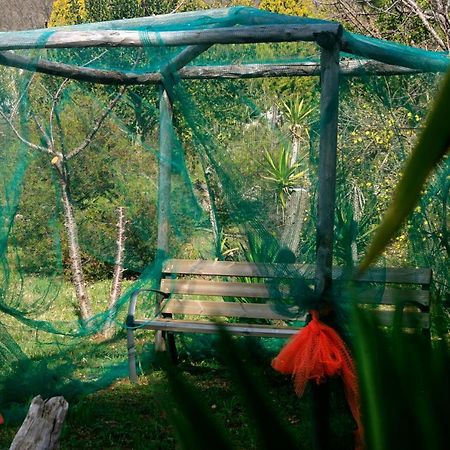 Agriturismo Parco Dai Nonni Искителла Экстерьер фото